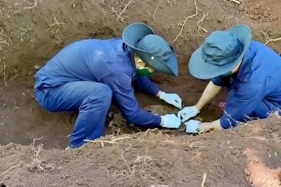 Tìm thấy hài cốt liệt sĩ trong rẫy cà phê từ thông tin của người dân Lào