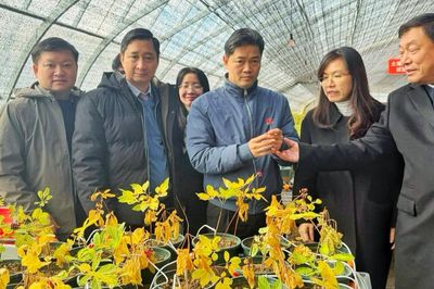 Đoàn công tác Bộ Y tế khảo sát mô hình phát triển dược liệu tại Trung Quốc, thúc đẩy hợp tác đầu tư, nghiên cứu và chuyển giao công nghệ