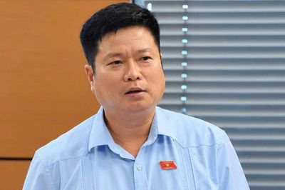 ĐBQH ủng hộ đánh thuế 0,2% đất bỏ hoang, tránh đầu cơ, găm giữ