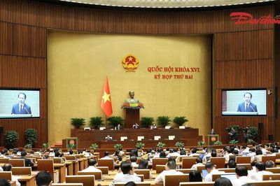 Sửa Luật Bảo vệ môi trường: Cắt giảm thủ tục phải đi đôi với kiểm soát chặt rủi ro