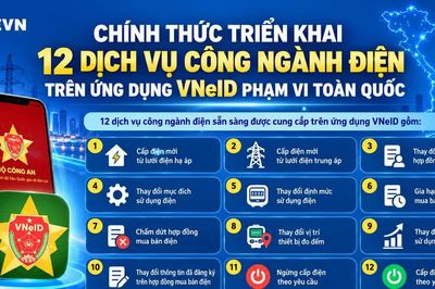 EVN triển khai 12 dịch vụ công trên ứng dụng VNeID