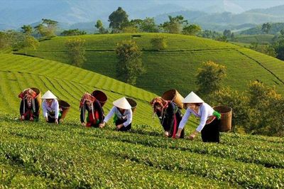 Phú Thọ xây dựng nông thôn mới, đô thị văn minh