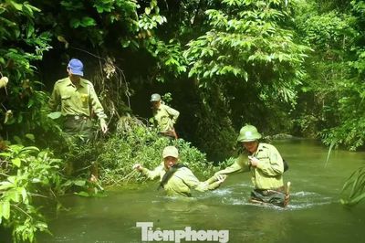 'Báu vật xanh' giữa đại ngàn Pù Mát