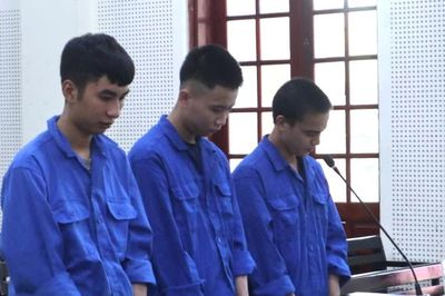 Bí mật trong chuồng gà khiến gã trai 20 tuổi lĩnh án 16 năm tù