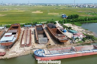 Bí thư Tỉnh ủy Ninh Bình khảo sát các xưởng đóng tàu nằm trong hành lang đê điều