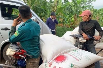 Thu giữ 36 tấn đường nhập lậu ở Lao Bảo