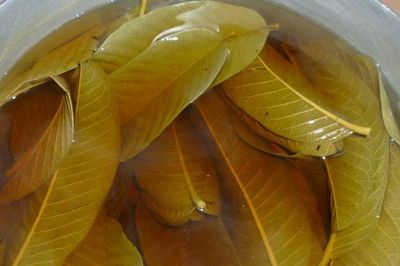 Tin uống nước lá ổi, mướp đắng thải độc, người đàn ông nhận kết quả bất thường