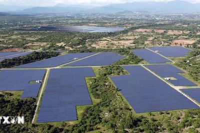 Quốc hội thảo luận loạt dự án luật về môi trường, thực phẩm, công nghiệp văn hóa