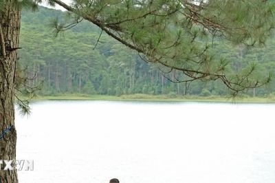 Lâm Đồng: Du khách nước ngoài dũng cảm cứu người đuối nước tại hồ Tuyền Lâm