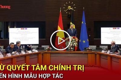 Từ quyết tâm chính trị đến hình mẫu hợp tác