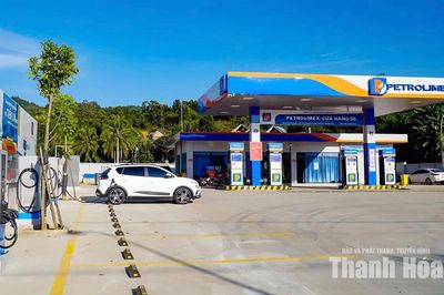 Kinh doanh xăng dầu trước bài toán chuyển dịch năng lượng