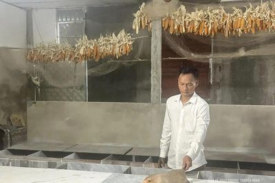 Nuôi dúi, hướng phát triển kinh tế mới ở Quảng Bình