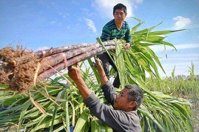 QNS lãi hơn 1.400 tỷ đồng sau 9 tháng, chi phí bán hàng tăng gần 50%