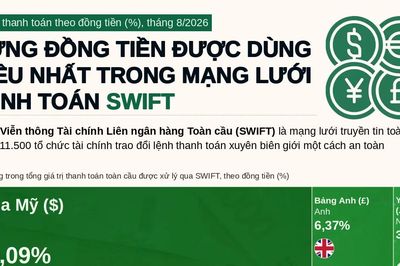 Những đồng tiền được sử dụng nhiều nhất trong thanh toán toàn cầu