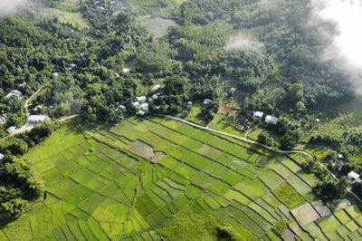 Phát triển Nam Giang là trung tâm sản xuất nông - lâm nghiệp và du lịch sinh thái