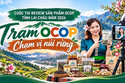Cuộc thi Review sản phẩm OCOP tỉnh Lai Châu năm 2026 'Trạm OCOP – Chạm vị núi rừng'