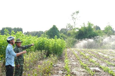 Bí thư chi bộ giỏi làm kinh tế, tích cực vì cộng đồng