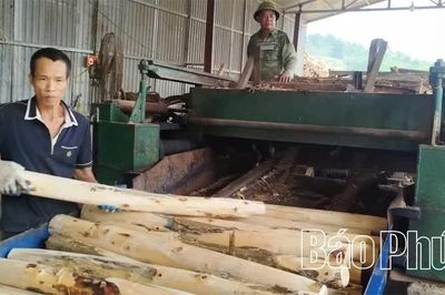 Phát triển kinh tế ở Yên Kỳ