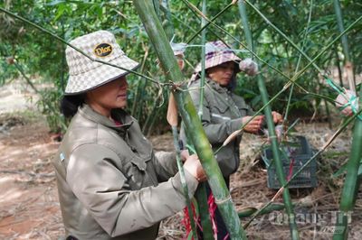 Phát triển OCOP từ lợi thế địa phương