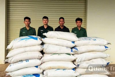 Bắt giữ hơn 36 tấn đường kính trắng nhập lậu