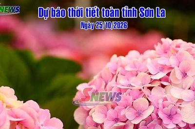 Dự báo thời tiết toàn tỉnh Sơn La ngày 25/10/2026