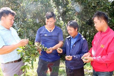 Chính sách mới - tạo động lực cho người có uy tín