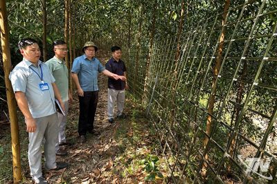 Chấm dứt tình trạng 'đón đền bù' trên tuyến cao tốc CT.07