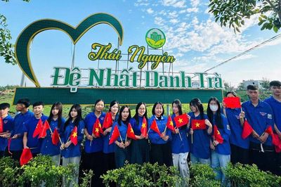 Những vùng trà mở cửa đón du khách