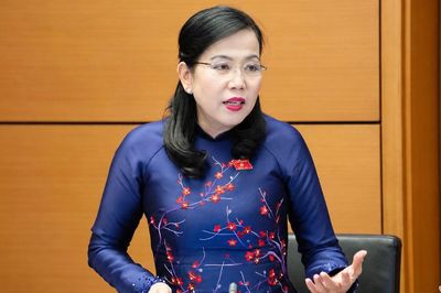 Đại biểu Quốc hội tỉnh Thái Nguyên góp ý dự án luật về tài nguyên biển và bảo vệ môi trường