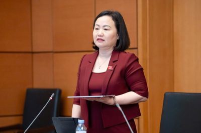 Thu hút đầu tư cần kiểm soát nguồn lực, rõ giới hạn thẩm quyền