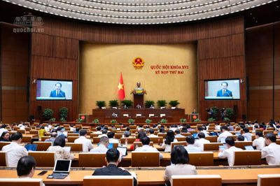 Sửa Luật Bảo vệ môi trường: Cắt giảm thủ tục hành chính, tăng cường quản lý bằng dữ liệu