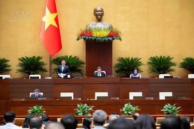 Sửa Luật An toàn thực phẩm, cần làm rõ 'một cơ quan chịu trách nhiệm đến cùng'