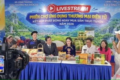 Khai mạc phiên chợ ứng dụng thương mại điện tử - Phát động Ngày mua sắm trực tuyến