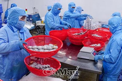 Tạo sức bật những tháng cuối năm