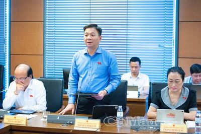 Đoàn ĐBQH Cà Mau góp ý hoàn thiện các dự án luật về văn hoá, an toàn thực phẩm và sở hữu trí tuệ