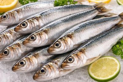 Loại cá thân bạc óng ánh, xưa ít người chuộng nay thành đặc sản tới 80.000 đồng/kg, được chuyên gia dinh dưỡng Mỹ 'hết lời khen'