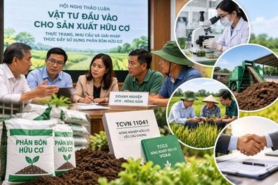 Gỡ nút thắt vật tư nông nghiệp hữu cơ - Kỳ 2: Giải pháp từ chính sách đến thị trường