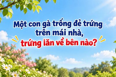 Câu đố mẹo: Gà trống đẻ trứng trên mái nhà, trứng lăn về bên nào?
