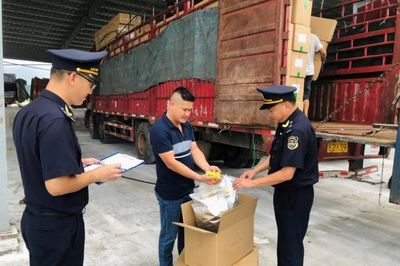 Hoàn thiện hệ thống vị trí việc làm gắn với xây dựng đội ngũ cán bộ và quản lý biên chế