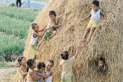 Vị của mùa Thu