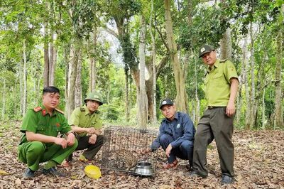 Vườn Quốc gia Kon Ka Kinh đẩy mạnh số hóa quản lý, bảo vệ rừng