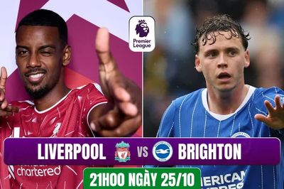 Nhận định Liverpool vs Brighton, 21h00 ngày 25/10: 'The Kop' thị uy sức mạnh
