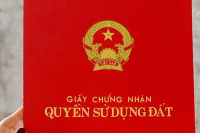 Hai sổ đỏ liền kề bị ghi sai số thửa, diện tích: Xử lý thế nào?
