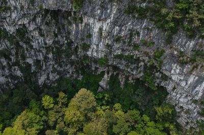 Chuyên gia 20 năm đi rừng: Hố sụt mới phát hiện ở Phong Nha - Kẻ Bàng là một 'bài toán khó'