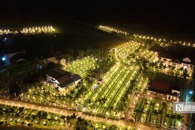 Thắp điện xuyên đêm 'bắt hoa không ngủ' chờ Tết