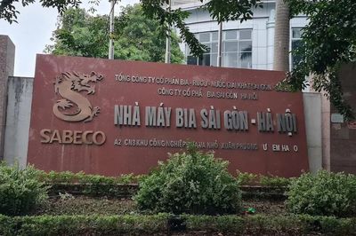 Bia Sài Gòn – Hà Nội chững nhịp trong quý III/2026, lợi nhuận giảm 14%