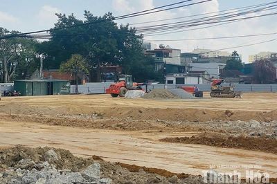 Đẩy nhanh tiến độ thực hiện Dự án Bảo tồn, tôn tạo Khu di tích lịch sử Thái miếu Nhà Hậu Lê