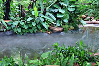 Một góc chữa lành