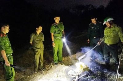 Bát Xát tiêu hủy khoảng 3.000 m² lưới bẫy chim hoang dã