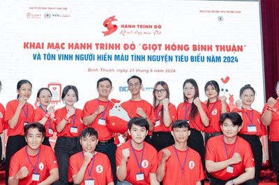 Hạt giống xanh